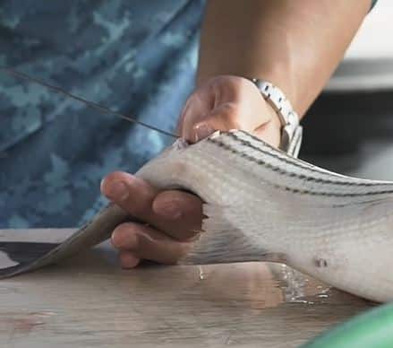 Wire- Circuit breaker inserted into the spinal canal stops all body function