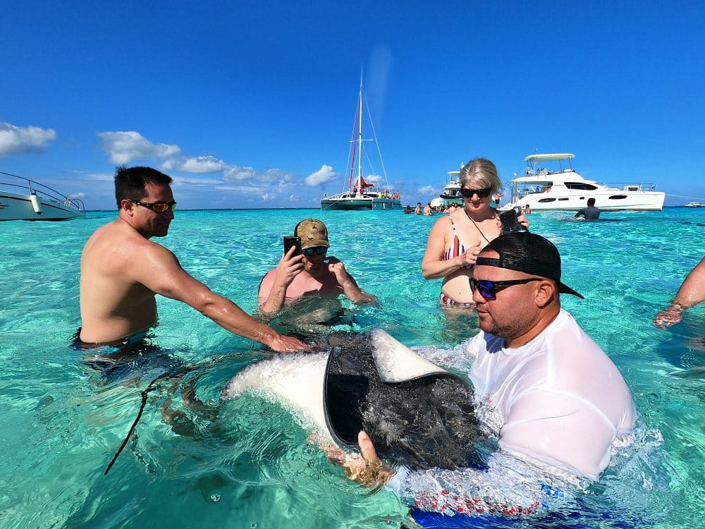 Stingray Charters Cayman